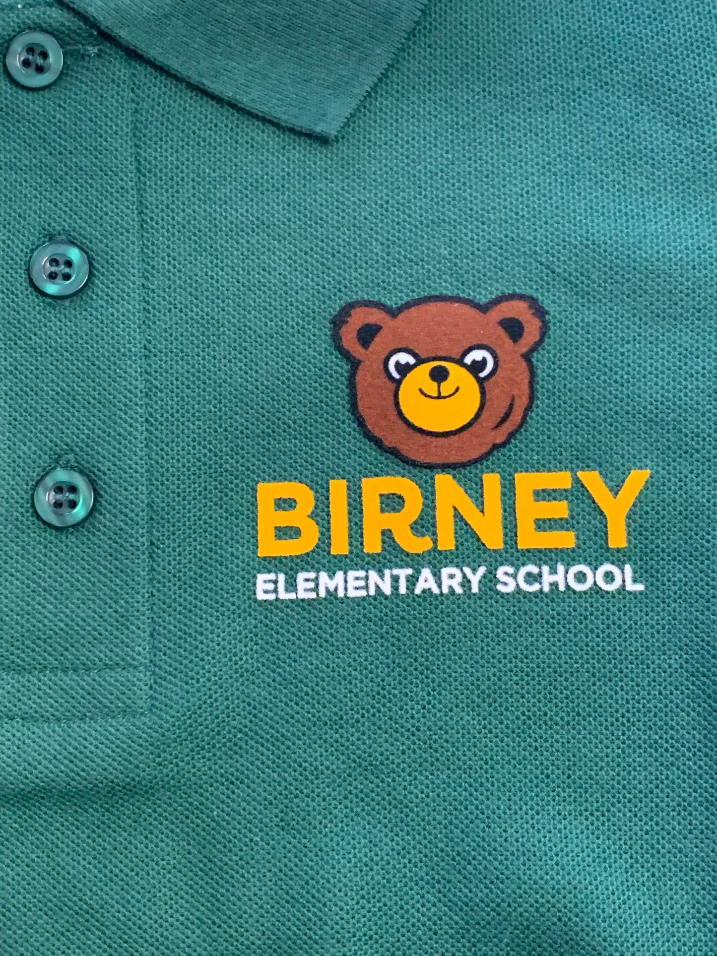 Alice Birney Elementary Polo - Green