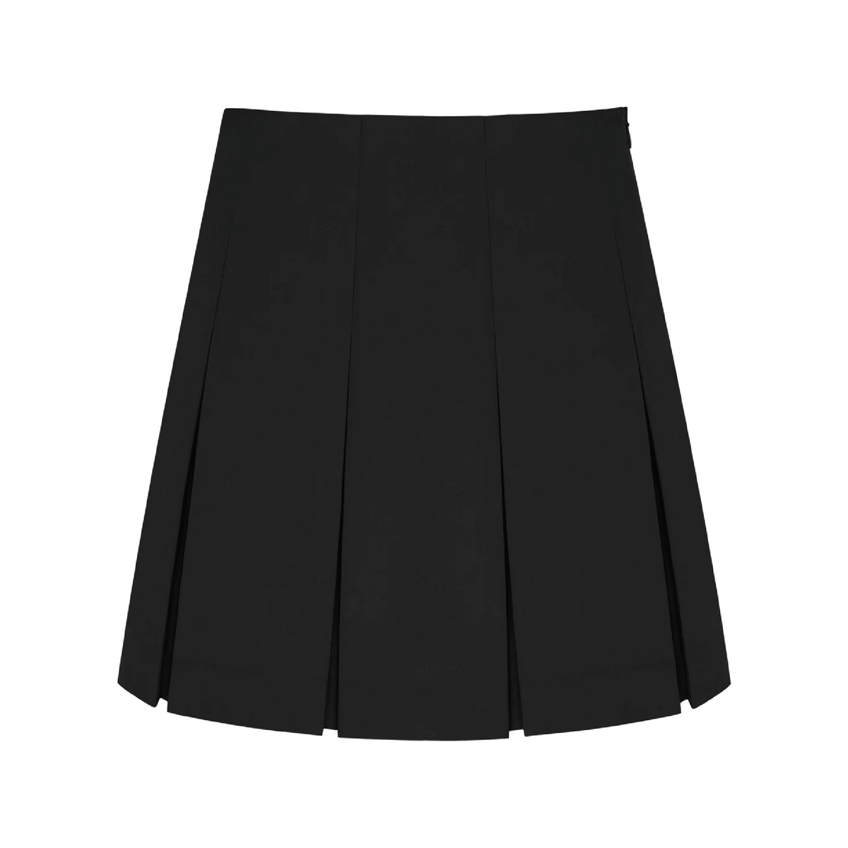 Asset1blackboxpleatskirt.png?v