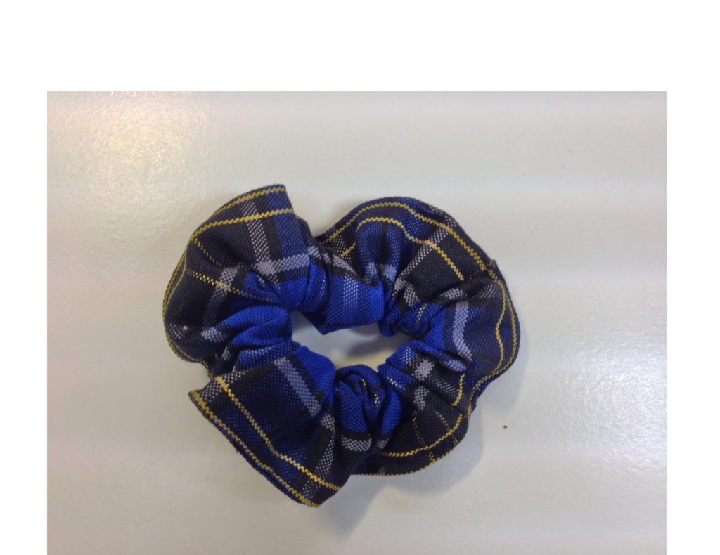 Hair Scrunchie