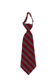 Greenleaf Friends Academy Striped Tie