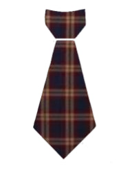 St. Ignatius Catholic School Adjustable Pre-knotted Tie - Hamilton Plaid - Male