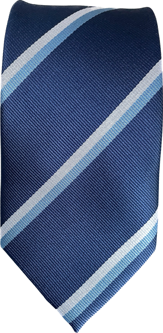 Treasure Valley Classical Academy Striped Tie