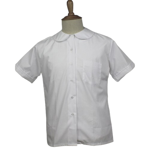 All Saints Peter Pan Blouse