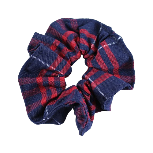 Hair Scrunchie